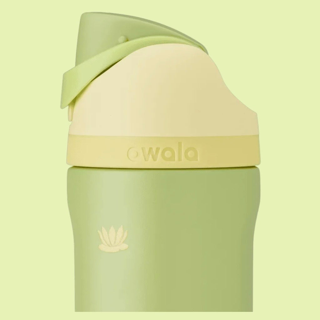 Owala ⭑ Disney Princess Collection