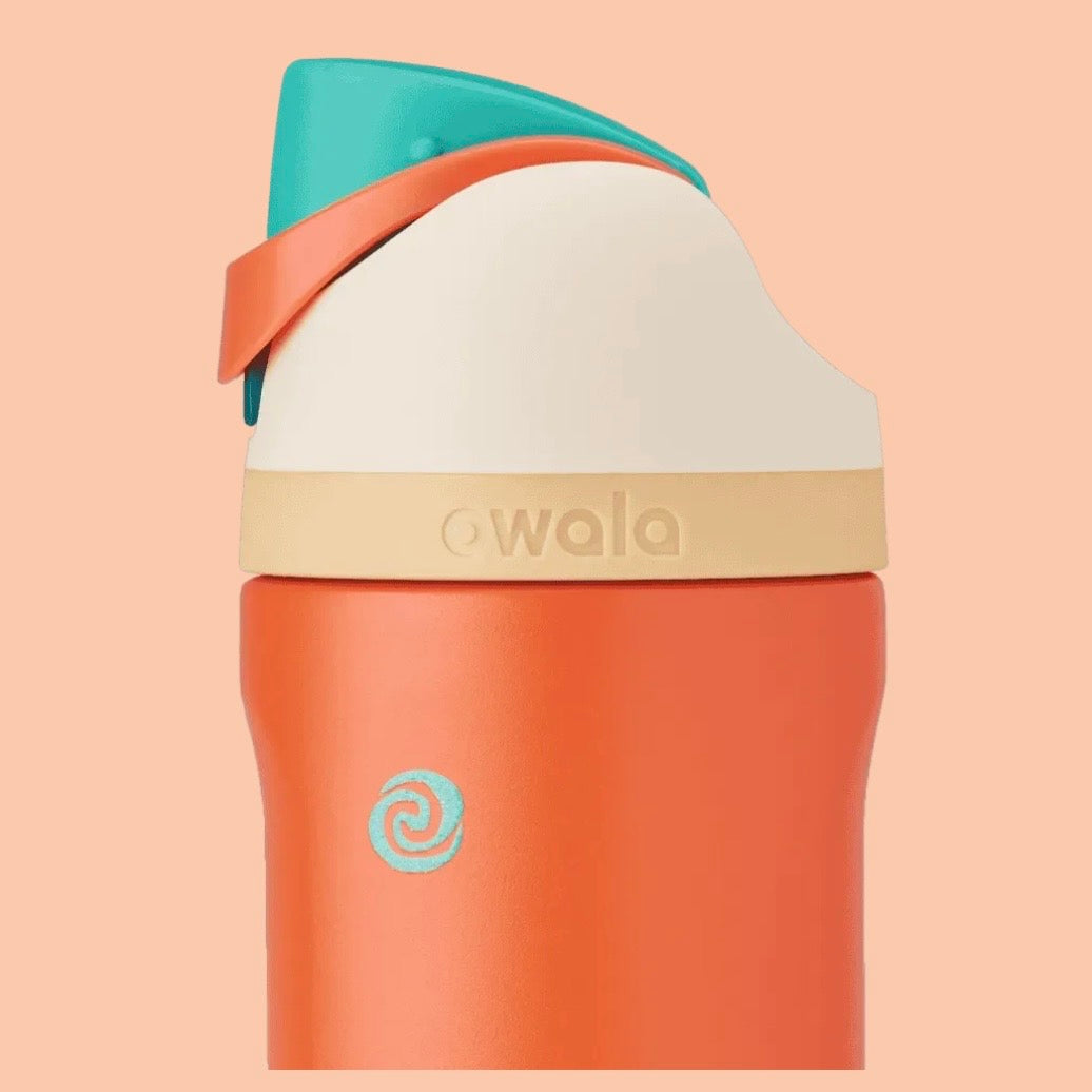 Owala ⭑ Disney Princess Collection