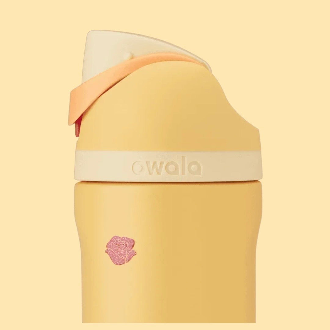Owala ⭑ Disney Princess Collection