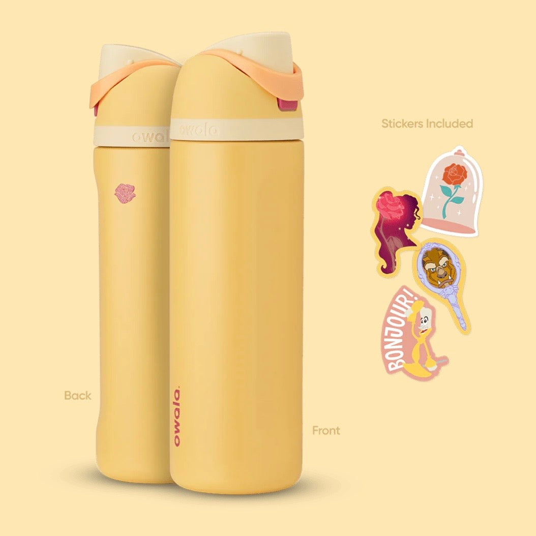 Owala ⭑ Disney Princess Collection